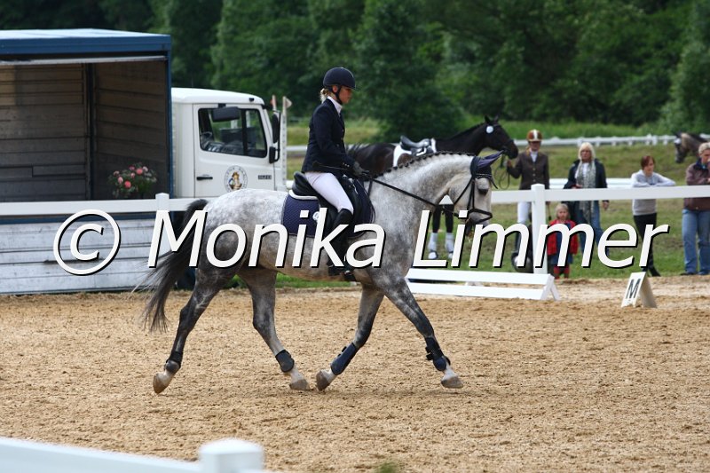 006M5728_Eignung_A_Diamond Dancer.JPG